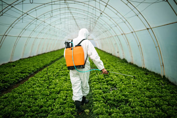 Best Pest Control Cost  in Twin Rivers, NJ