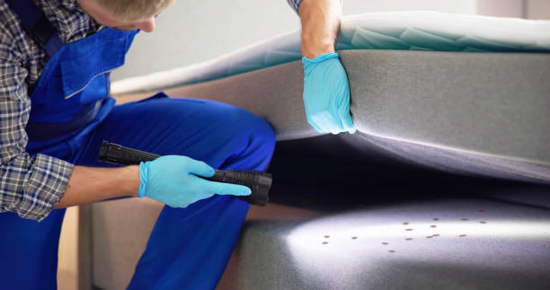 Best Bed Bug Extermination  in Twin Rivers, NJ