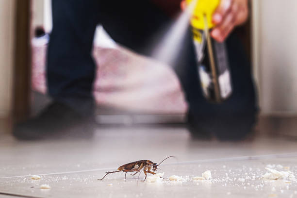 Best Rat Extermination Near Me  in Twin Rivers, NJ